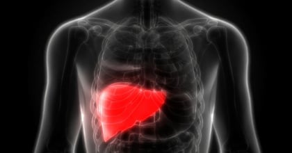 Cáncer de hígado: Estos son los signos de alerta para detectar este padecimiento a tiempo