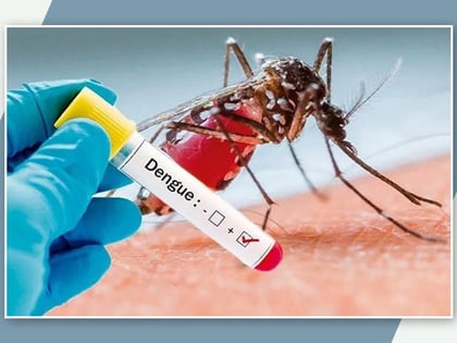 Va Salud contra el Dengue