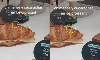 ¿La cucaracha va incluida? Captan en video a insectos entre comida en venta en Starbucks