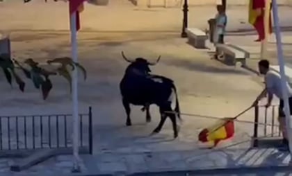 VIDEO: Hombres torturan y matan a toro que deambulaba en plena calle en España