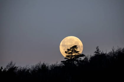 Luna llena en septiembre de 2023: cuándo y cómo observar la Luna de la Cosecha