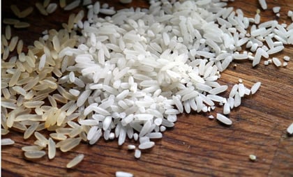 La solución accesible y efectiva para generar colágeno a base de arroz