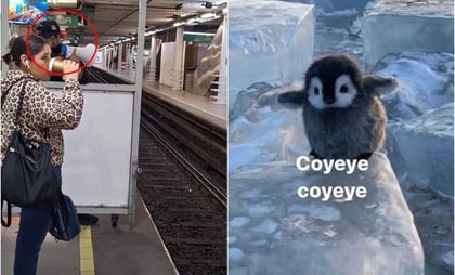 Policía del Metro CDMX se viraliza en TikTok tras motivar a no llegar tarde: 'coyeye, coyeye'