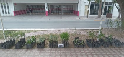 Con motivo del 'Día Internacional de la Tierra', se llevó a cabo una jornada de reforestación en Torreón