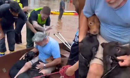 Hombre arriesga su vida para salvar a sus perritos de las inundaciones, en Brasil