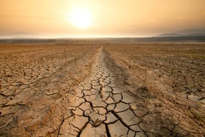 Los campesinos en Coahuila expresan preocupación por las posibles afectaciones si la sequía en La Laguna continúa
