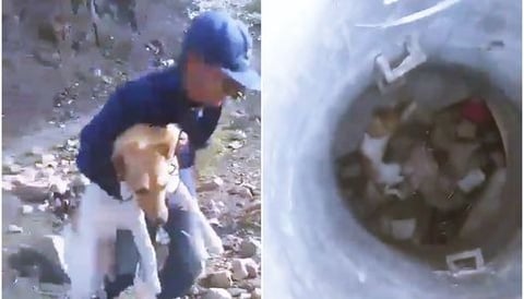 VIDEO: Jóvenes amarran y arrojan a perrito a un pozo