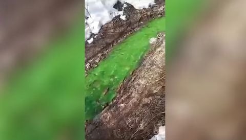 ¿Agua contaminada en Rusia?, río se tiñe de 'color verde brillante'
