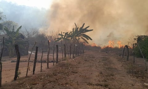 Suman 9 incendios forestales activos en varios municipios de Sinaloa