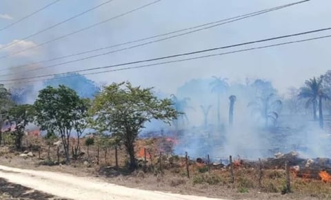 Incendio amenaza a ranchos en Tizimín, Yucatán