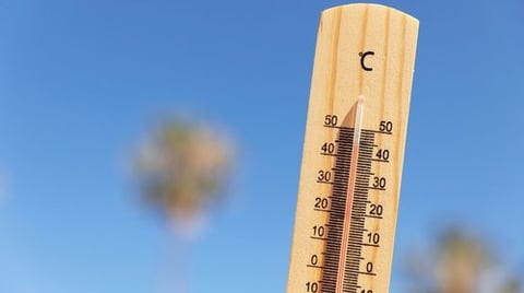La ola de calor afectará este domingo a 24 estados