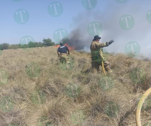 Incendio devora 20 hectáreas de pastizal en Escobedo