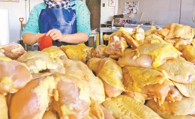 Pierna de pollo llegó a 79 pesos kilo y aguacate 80 pesos: Profeco