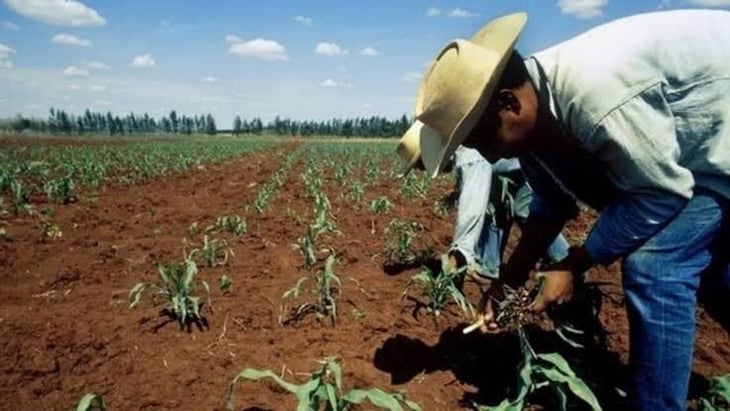 Reclaman productores agrícolas  por ‘falsas promesas’ en Acuña
