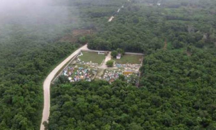 Gobierno desmontará más de 11 mil árboles en fase 1 del Tren Maya