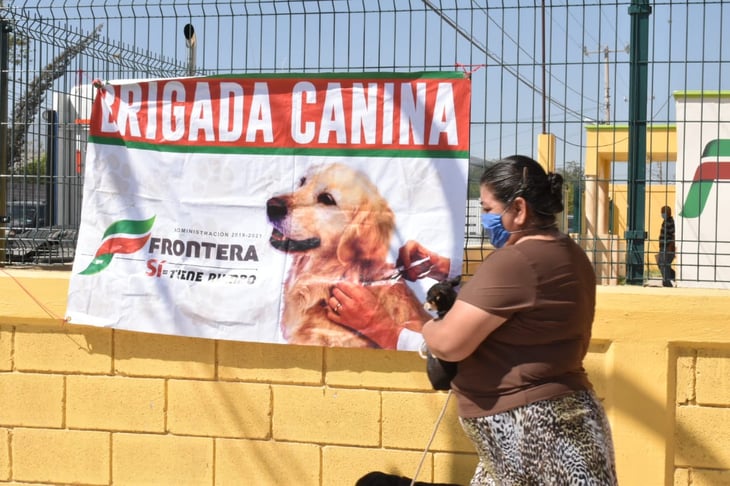 En Coahuila se promueve el  bienestar animal: Eglantina
