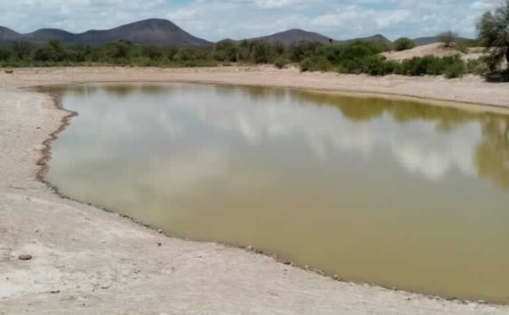 Temen que llegue una fuerte sequía a Ocampo  por la escasez de agua 