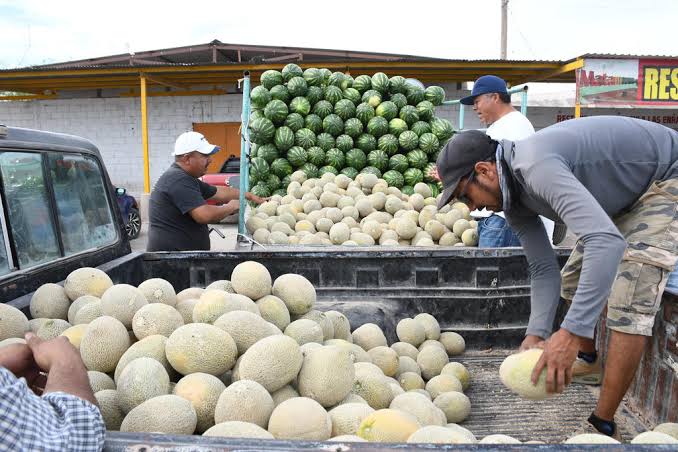 Cierran puertas a vendedores  de melón y sandía de Torreón