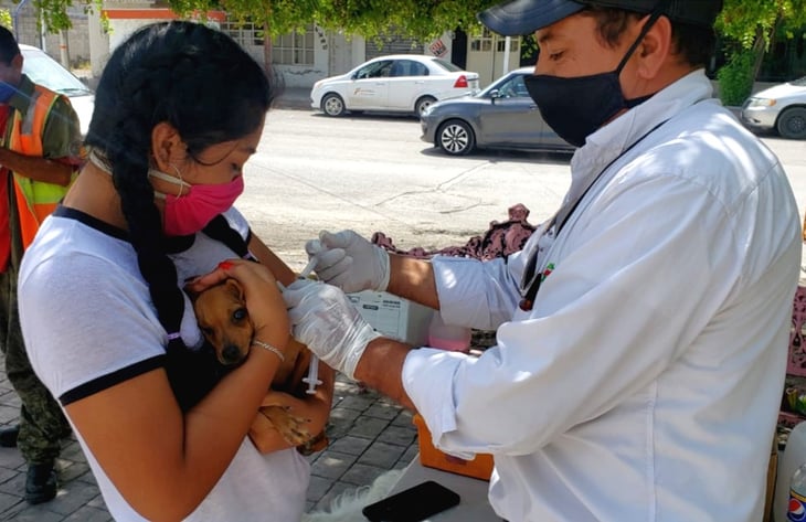 Responden dueños de mascotas a la vacuna antirrábica gratis en Frontera