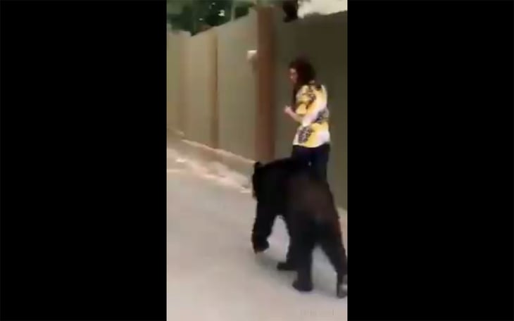 Vuelve a sorprender oso en NL, ahora cierra paso a mujer ( Vídeo )