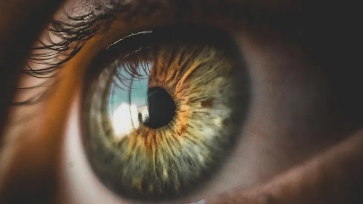 Evitar los carbohidratos ayuda al envejecimiento de los ojos