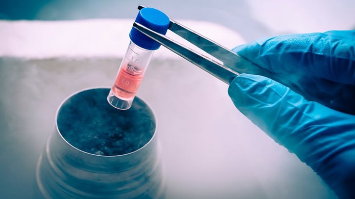 Alerta Cofepris de terapias fraudulentas basadas en la aplicación de células madre