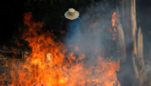 Focos de incendio en la Amazonía aumentan un 28 % en julio