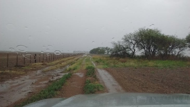 Recientes lluvias favorecerán a la  siembra y ganado 