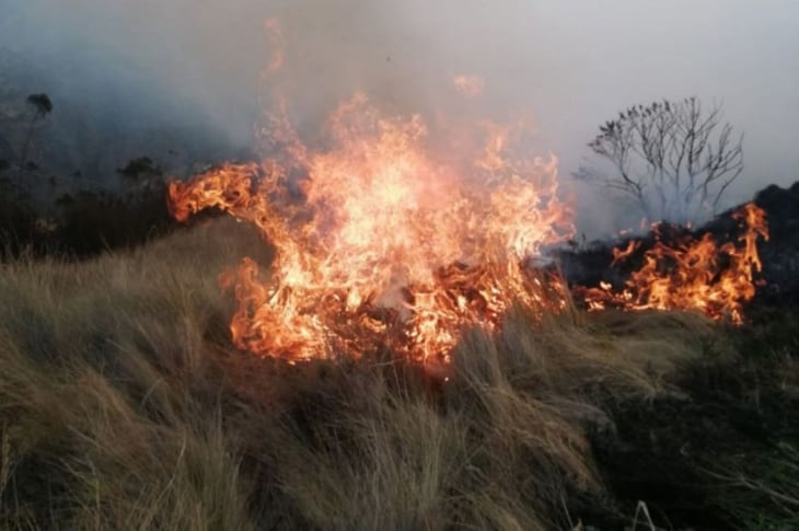 Incendio forestal al sur de Perú deja ocho muertos y decenas de heridos