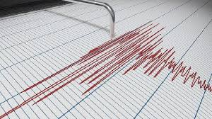Se registra sismo de magnitud 4.6: Guerrero