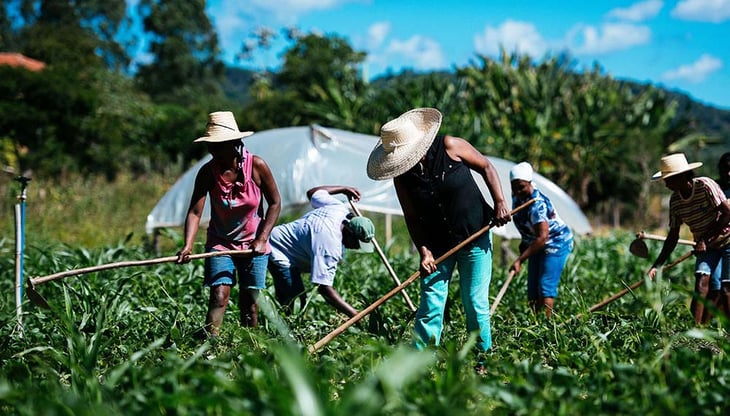 Comparten experiencias Bolivia y Ecuador para fortalecer agricultura familiar