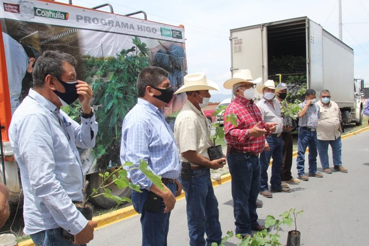 Productores de  Coahuila reciben  plantas de higo