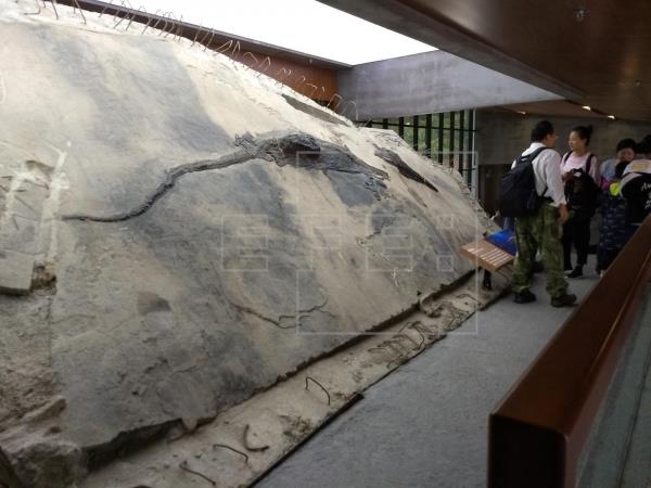 La última comida de un reptil prehistórico: otro reptil de cuatro metros