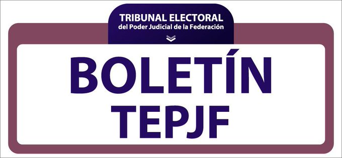 Ordena Tribunal Electoral renovar dirigencia nacional de Morena; será por encuesta