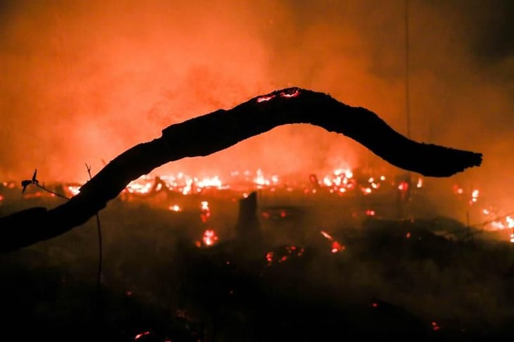 Activistas protestan contra incendios y deforestación de Amazonía brasileña