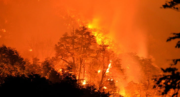 Más de 2,000 evacuados por los incendios forestales en España