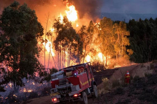 Estabilizan el fuego más grave de verano español tras quemar 10,000 hectáreas