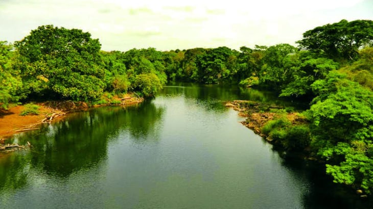 Panamá busca salvar potente caudal de río amenazado por el cambio climático