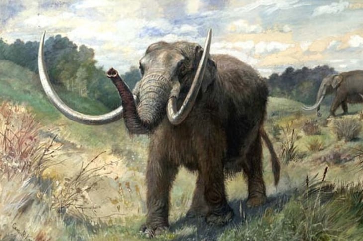 Mastodontes americanos migraron al norte en respuesta al calentamiento global