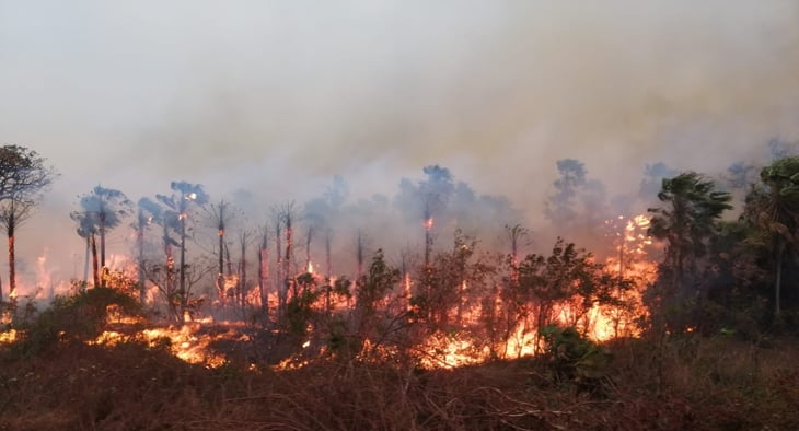 Incendios amenazan una valiosa reserva en Bolivia, activan medios de urgencia