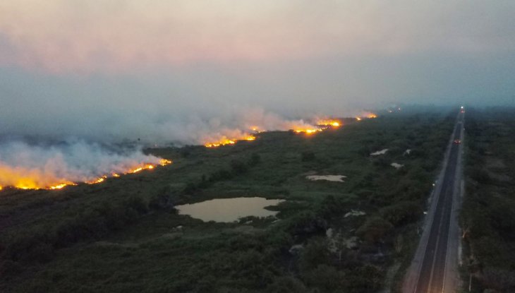 Los fuegos en el Pantanal brasileño obligan a accionar el estado de calamidad
