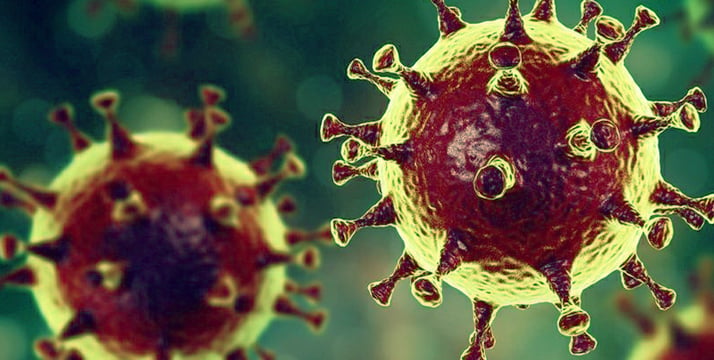 El Gobierno irlandés se aísla al completo por un posible caso de coronavirus