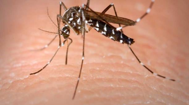 Anuncian campaña de descacharrización contra el dengue 