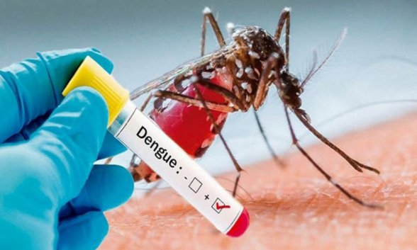 Confirman primer caso de Dengue