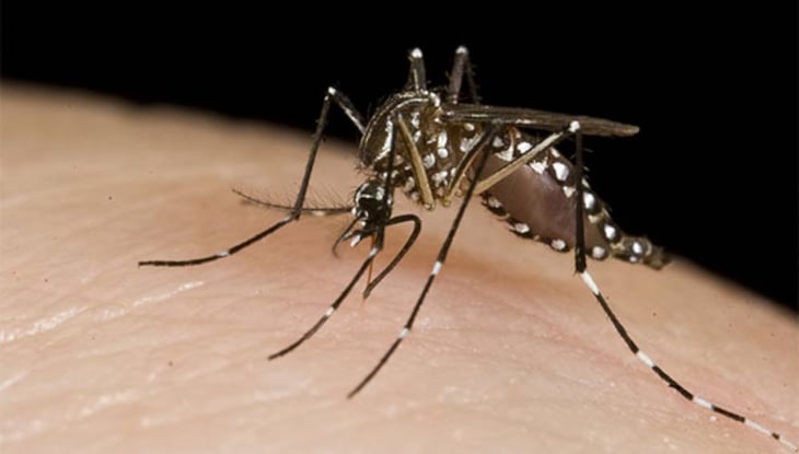 Descartan los 26 casos de dengue en Monclova 