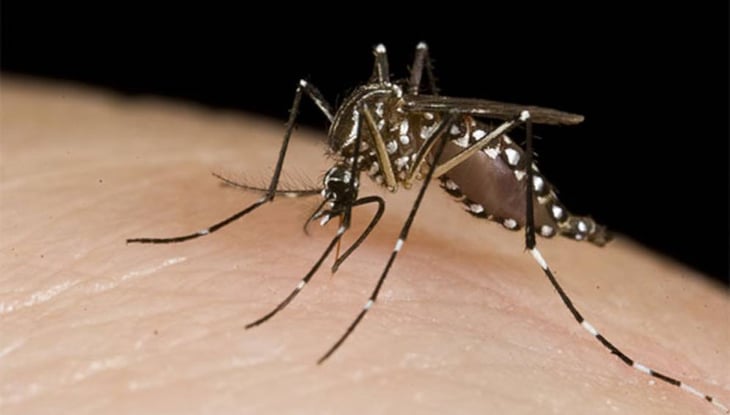 Descarta SS los 26 casos de dengue en Monclova 
