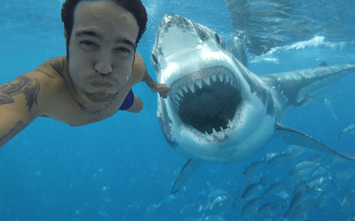 Miami Beach registra su primer ataque de tiburón del año