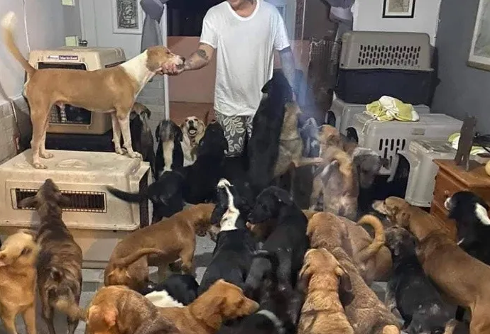 Necesitamos manos, dice hombre que resguardó a 300 perros callejeros
