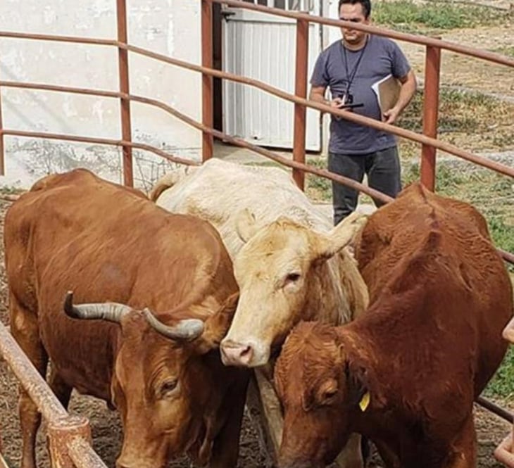 Productores de ganado denunciarán a Santiago Martínez por abigeato