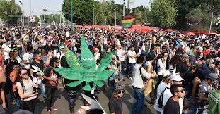 En León, más de 2 mil personas protestan por legalización de marihuana